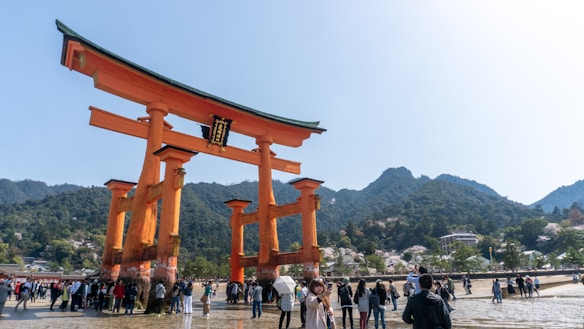 A large, iconic red torii gate stands majestically on a sandy shore, surrounded by a crowd of people. The background is filled with lush green mountains and a clear blue sky. Several cherry blossom trees are visible, adding a touch of white and pink to the verdant landscape.