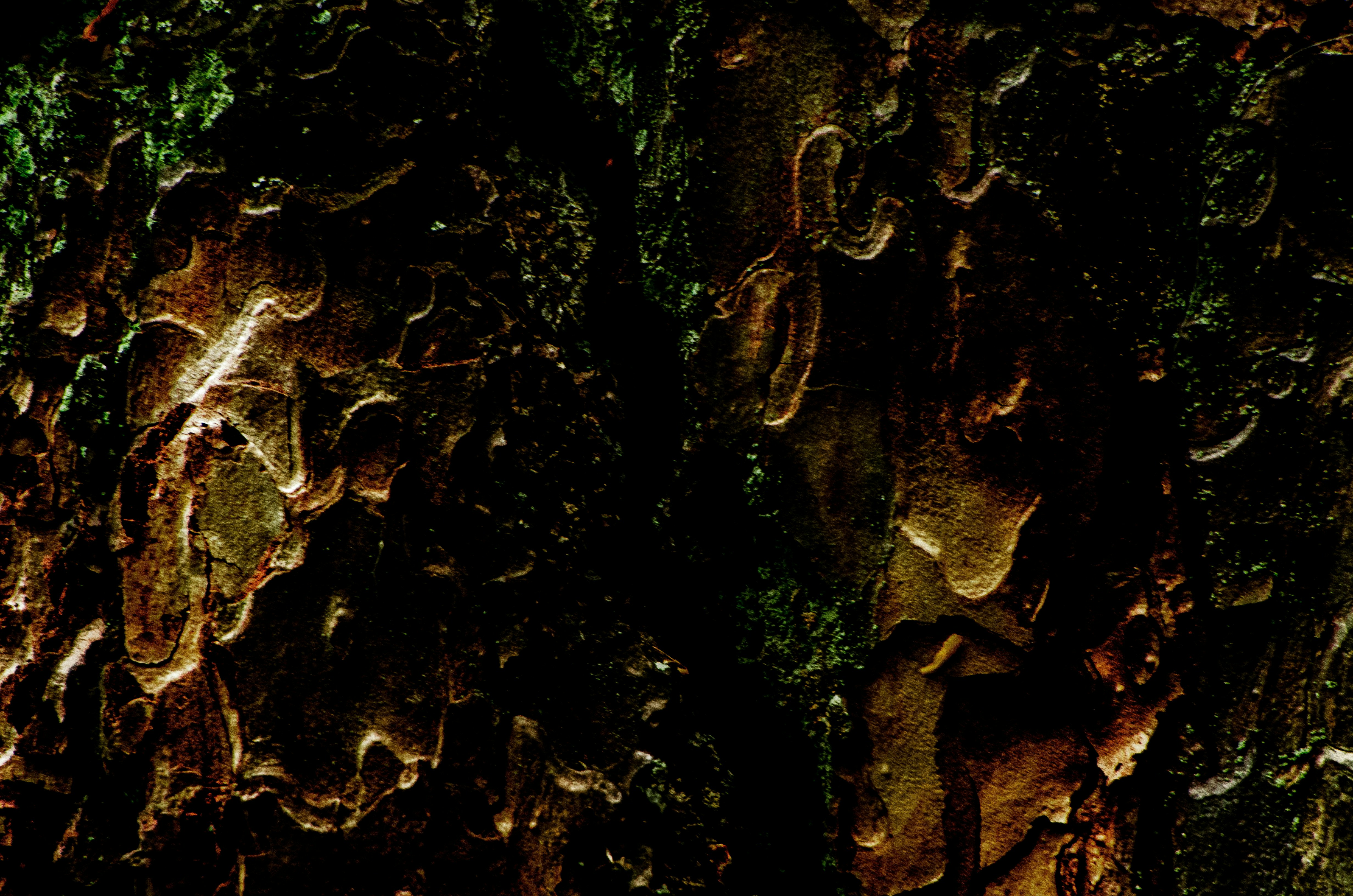 Photo by viktortalashuk