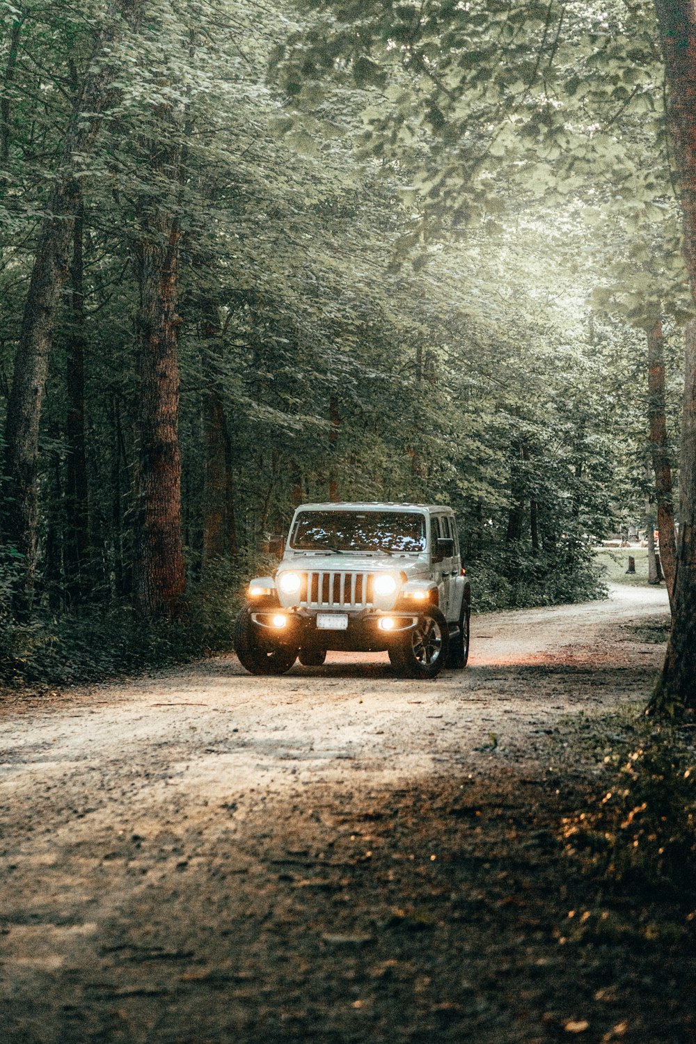 black car on dirt road in between trees