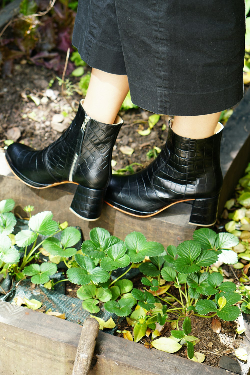 person wearing black leather boots standing on green leaves
