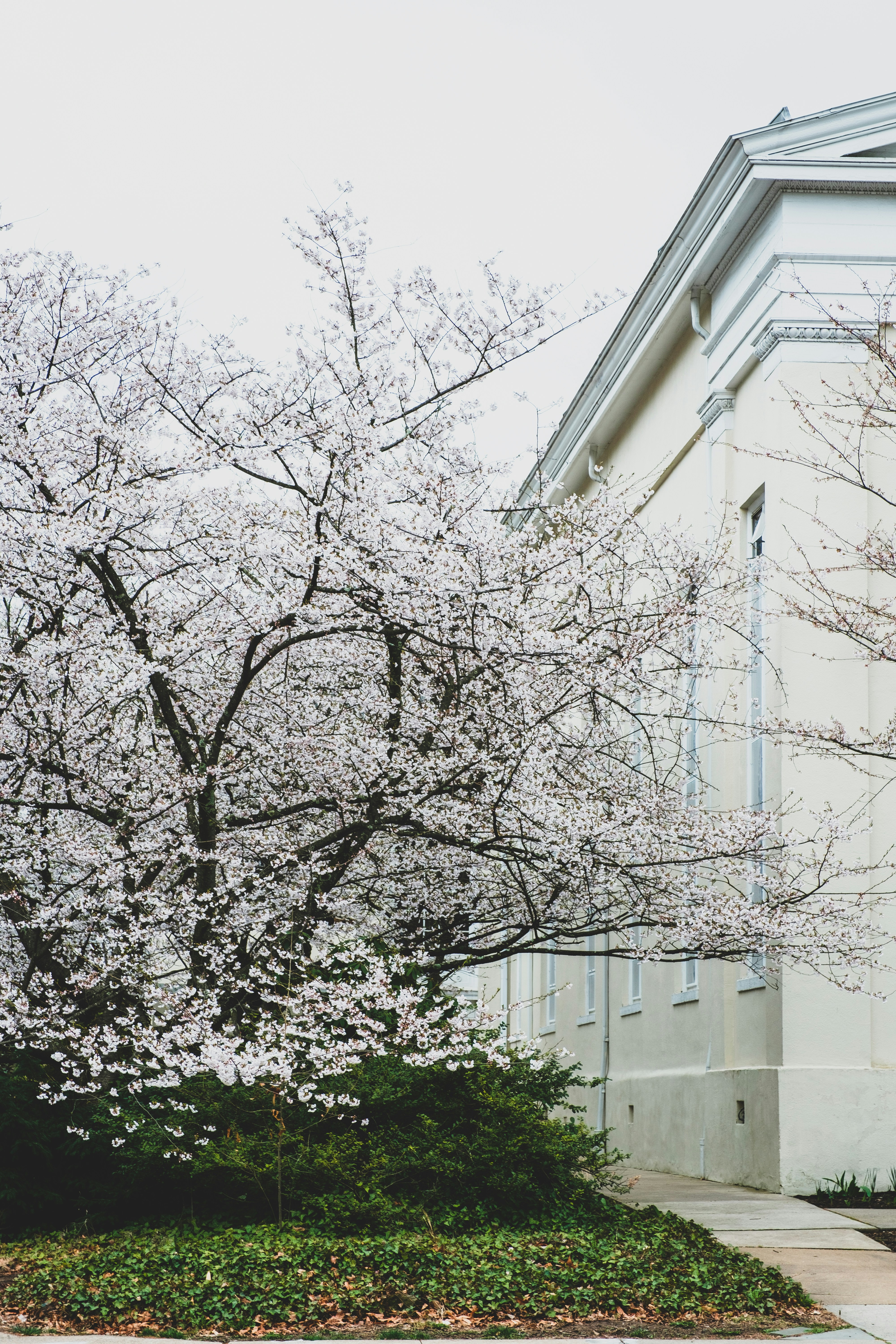 Photo by khurtwilliams