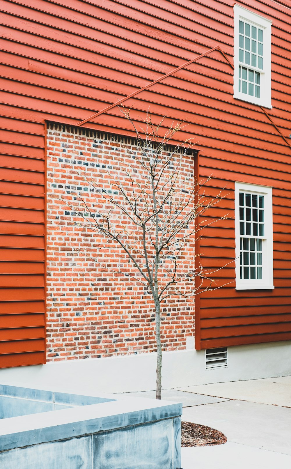 brown bare tree beside brown brick building