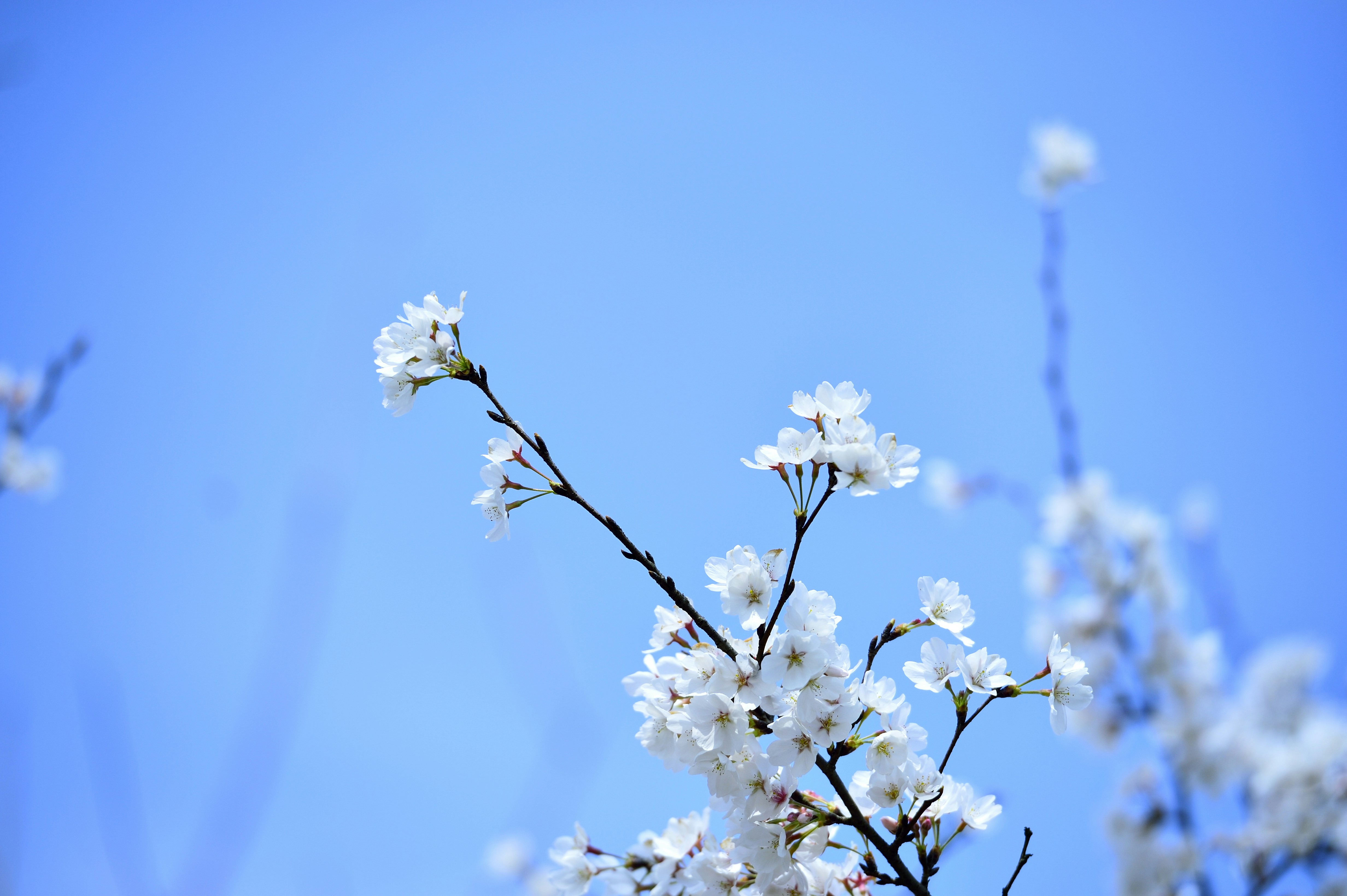 Photo by fan_world2020