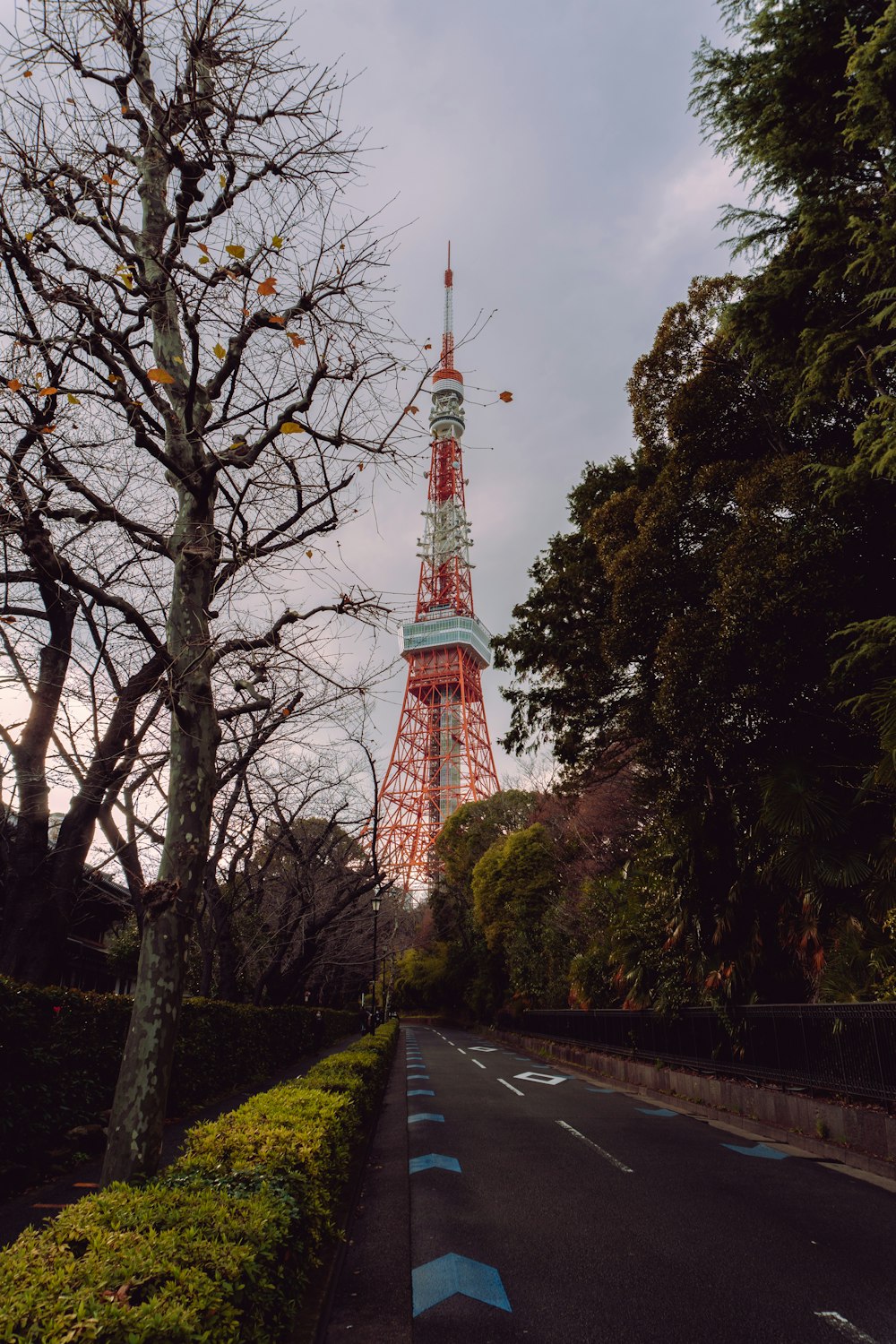 red and white tower near green trees during daytime