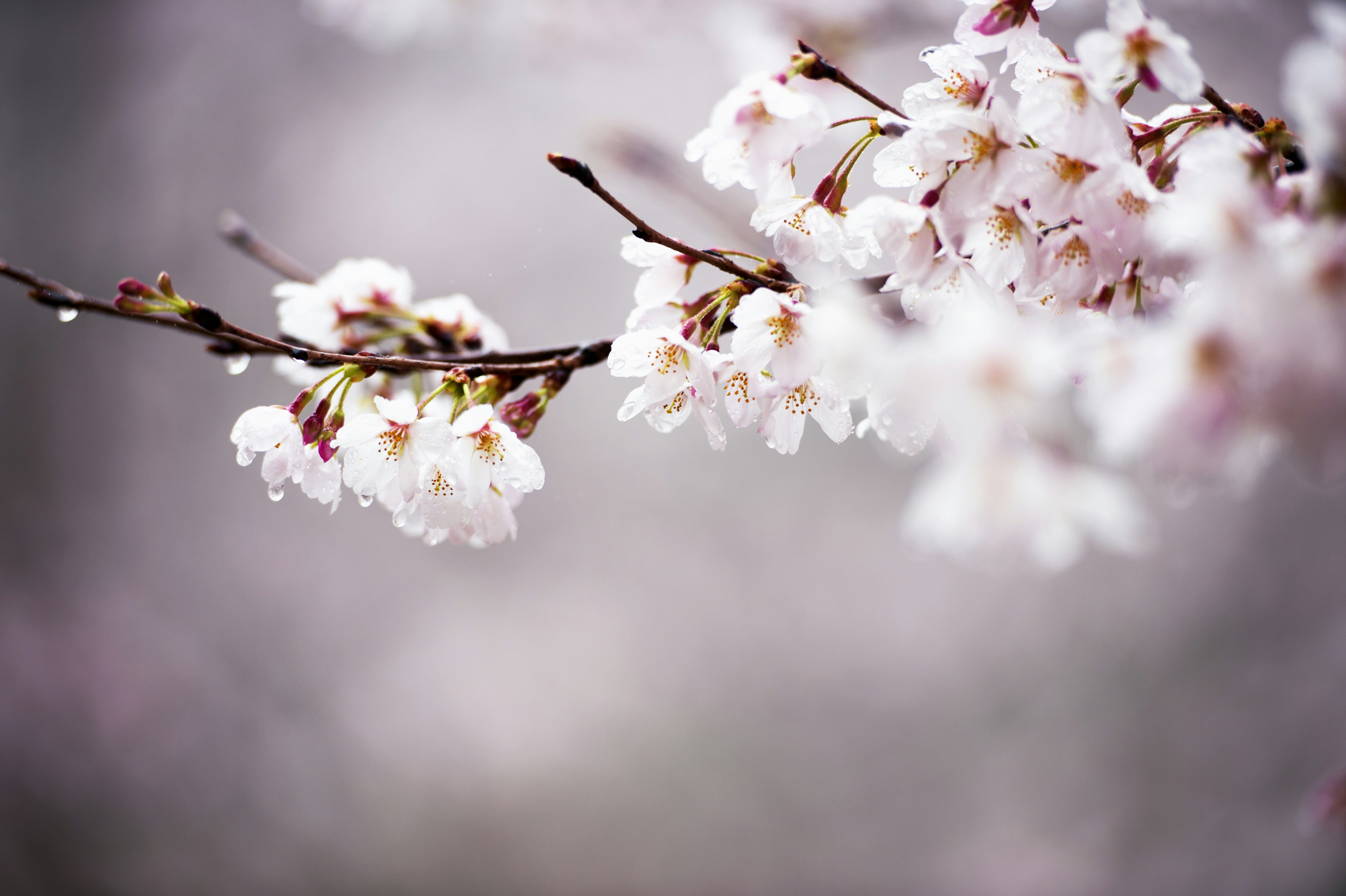 Photo by fan_world2020