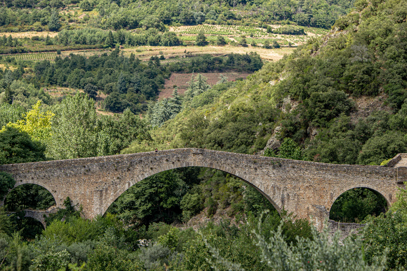 Languedoc wine country