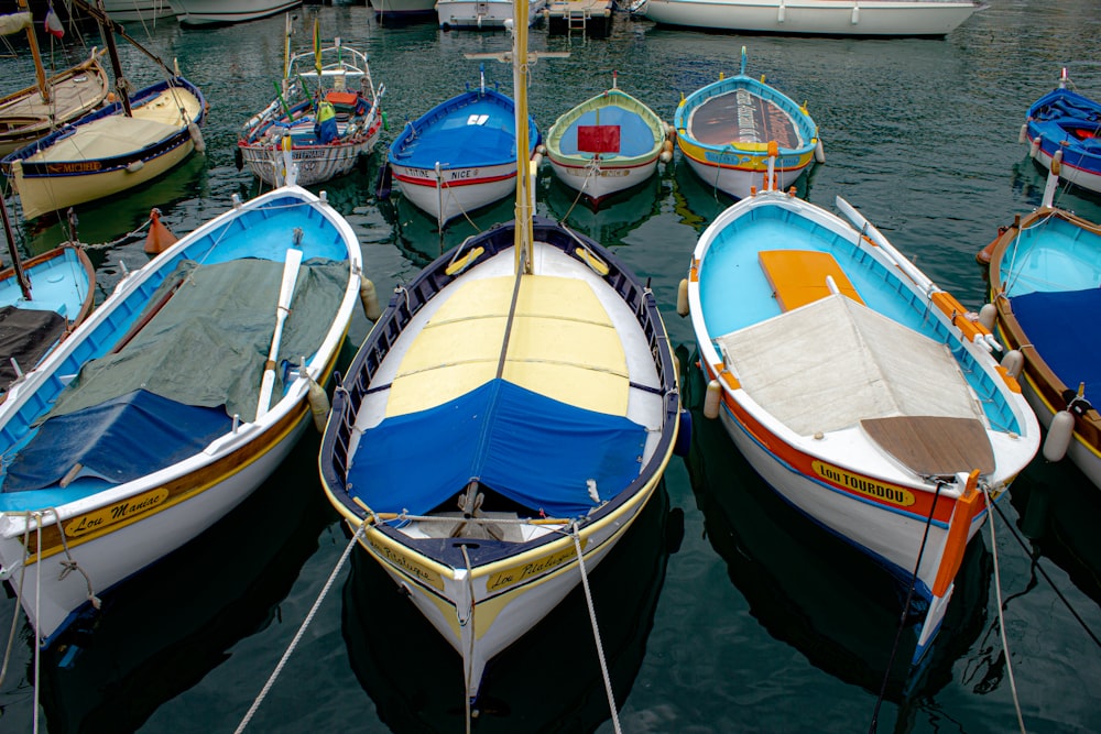 Barca blu e bianca sull'acqua durante il giorno