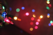 A close-up of colorful Christmas lights glowing at night.