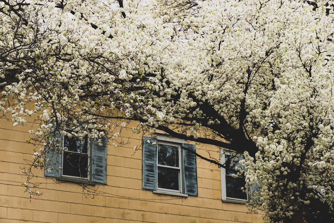 white and brown concrete building