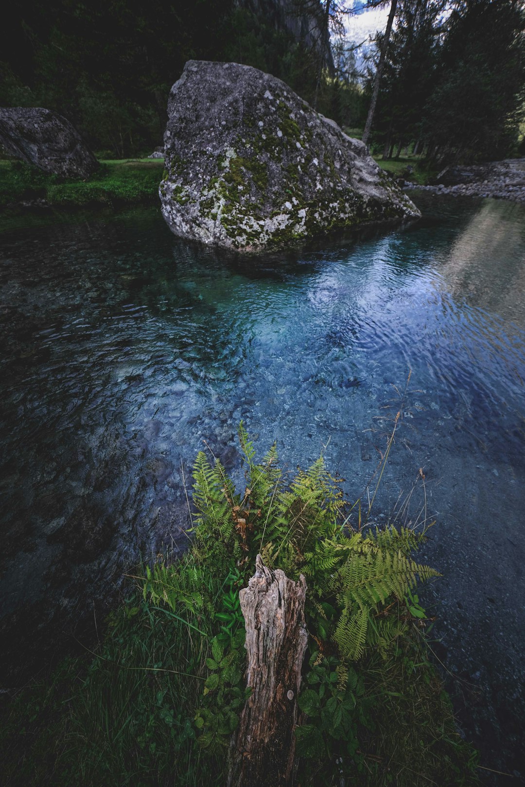 green moss on brown rock in the river