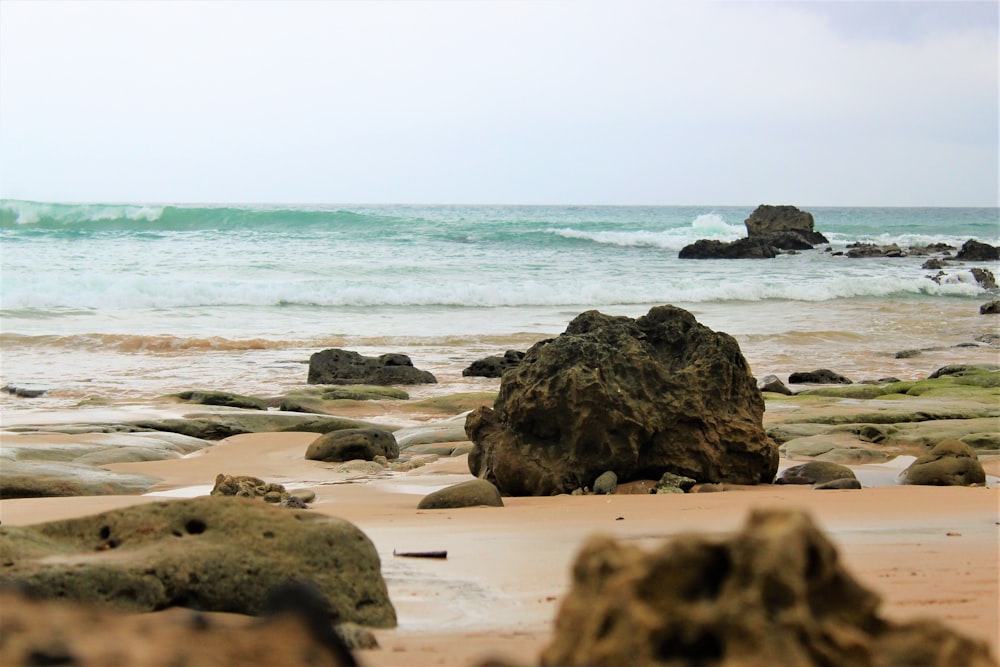 rocce marroni sulla spiaggia durante il giorno