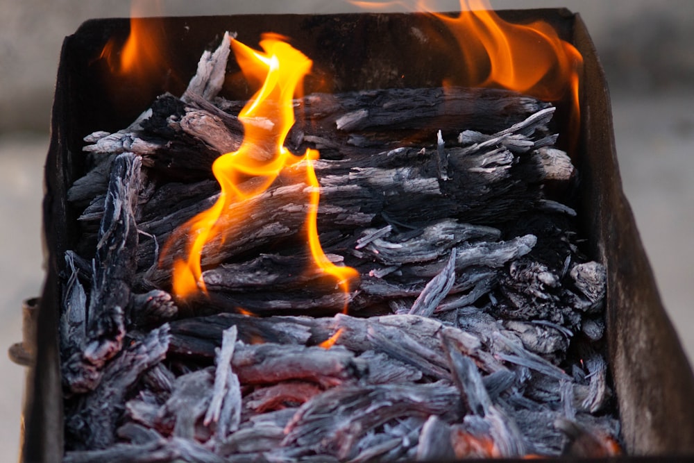 burning wood on fire pit