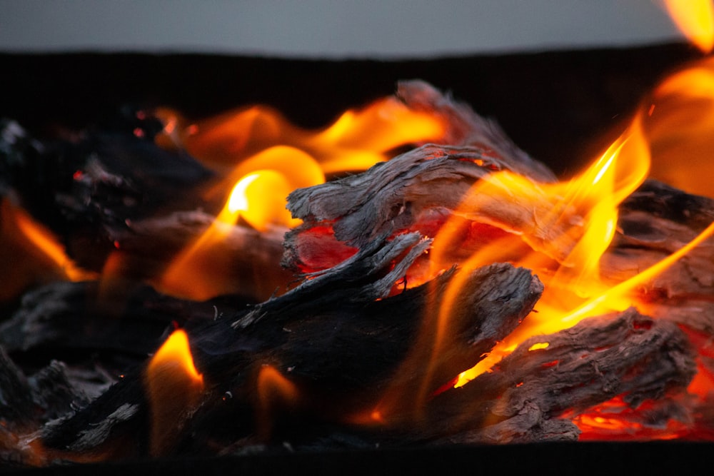 burning wood in fire pit