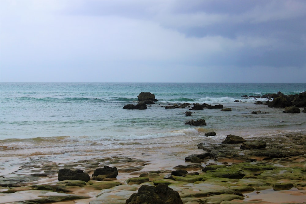 brown rocks on sea shore during daytime