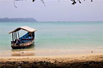 blue and white boat on beach during daytime