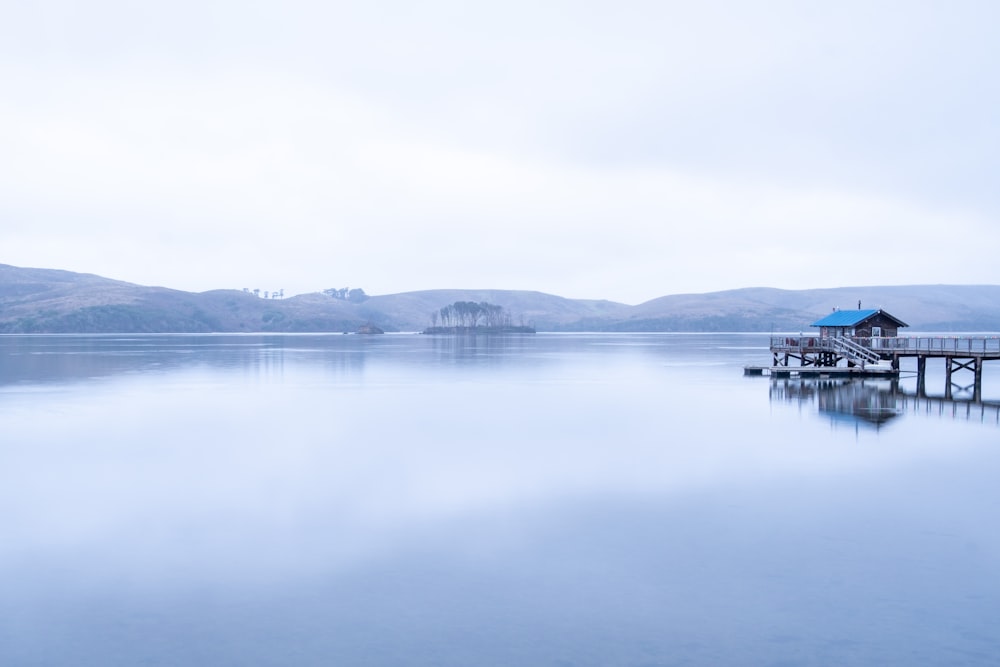 body of water near trees during daytime