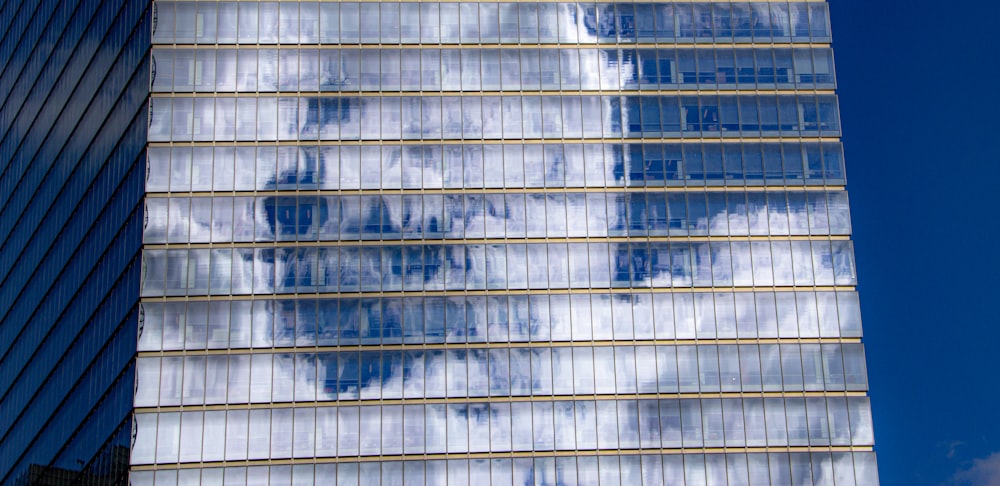 white and blue window blinds