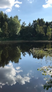 A serene outdoor scene showing a mee pure bottle beside a calm lake under a bright blue sky.