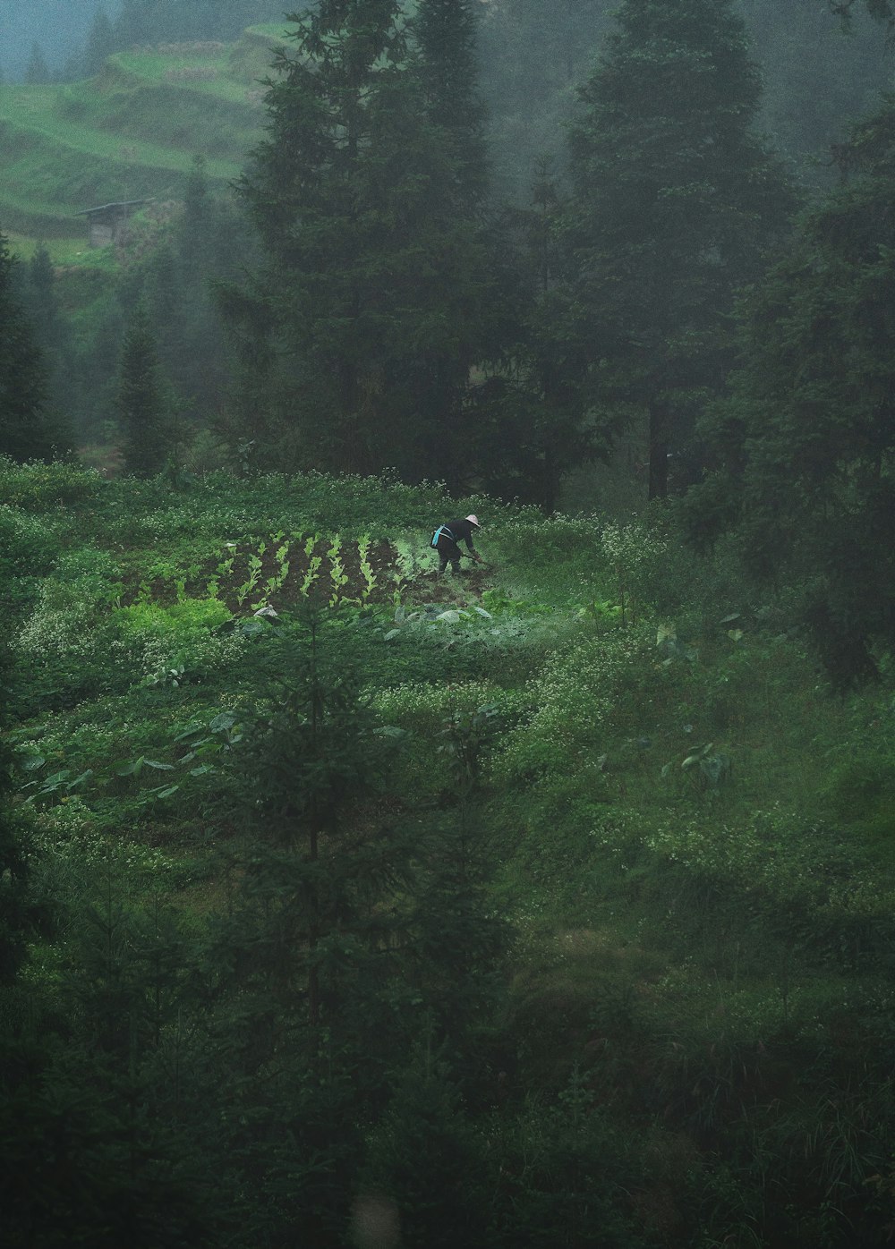 people walking on green grass field during daytime