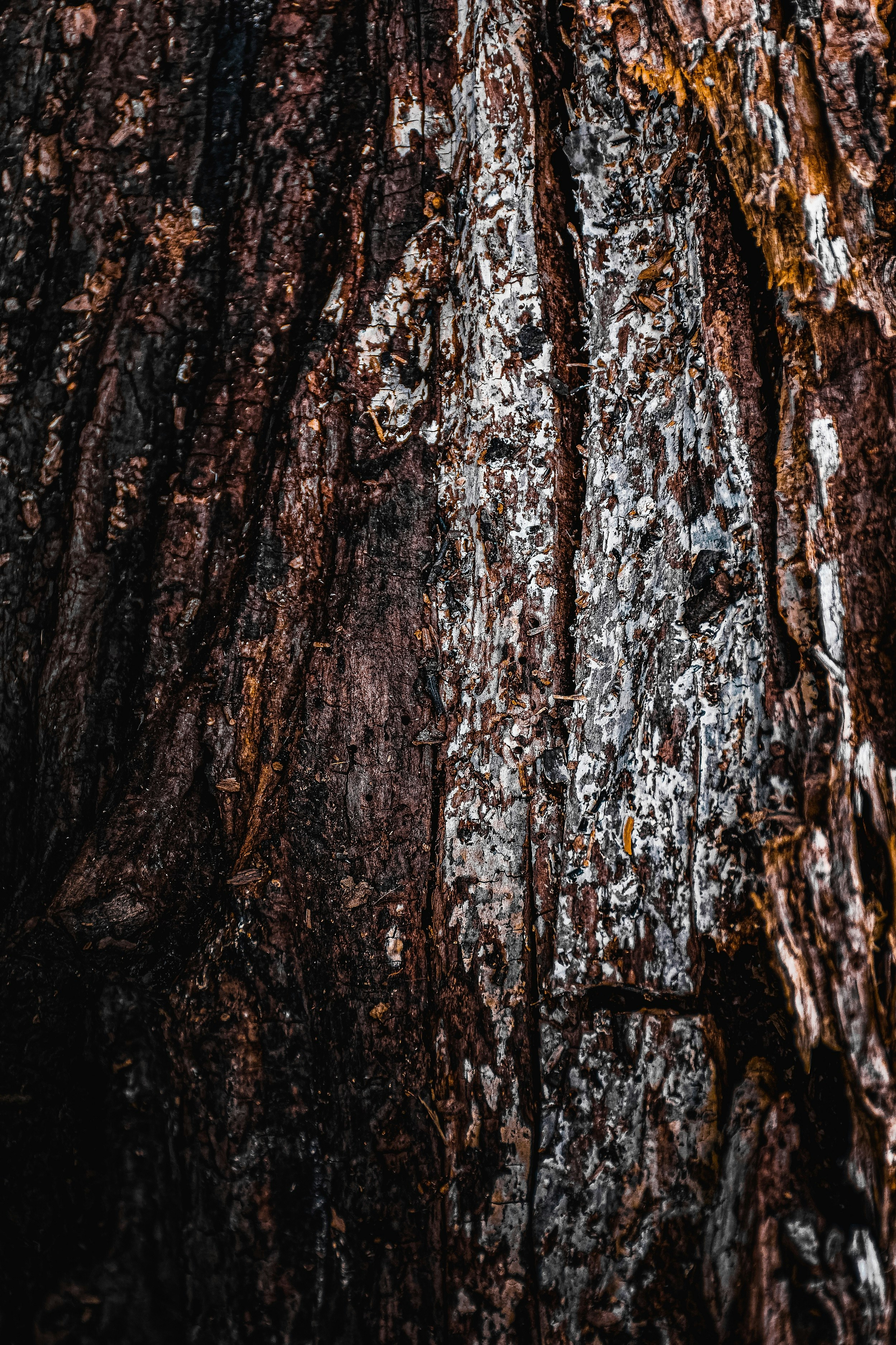 Photo by hesamsabetmand