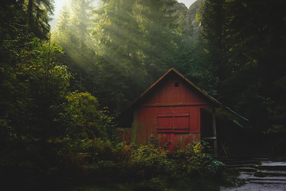 casa di legno rossa sul campo di erba verde vicino agli alberi verdi durante il giorno