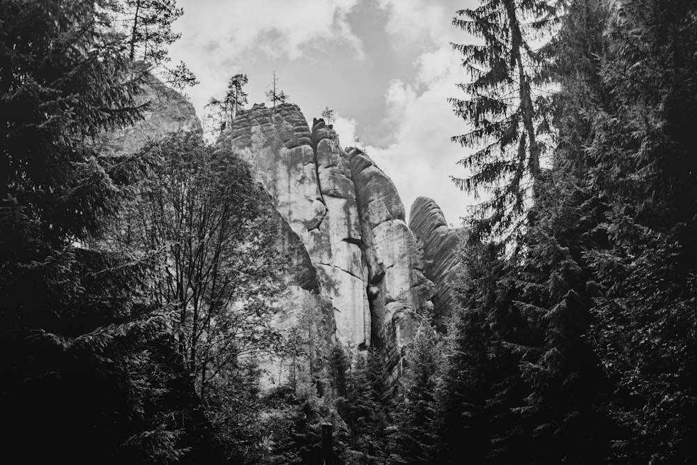 Foto en escala de grises de árboles y montañas