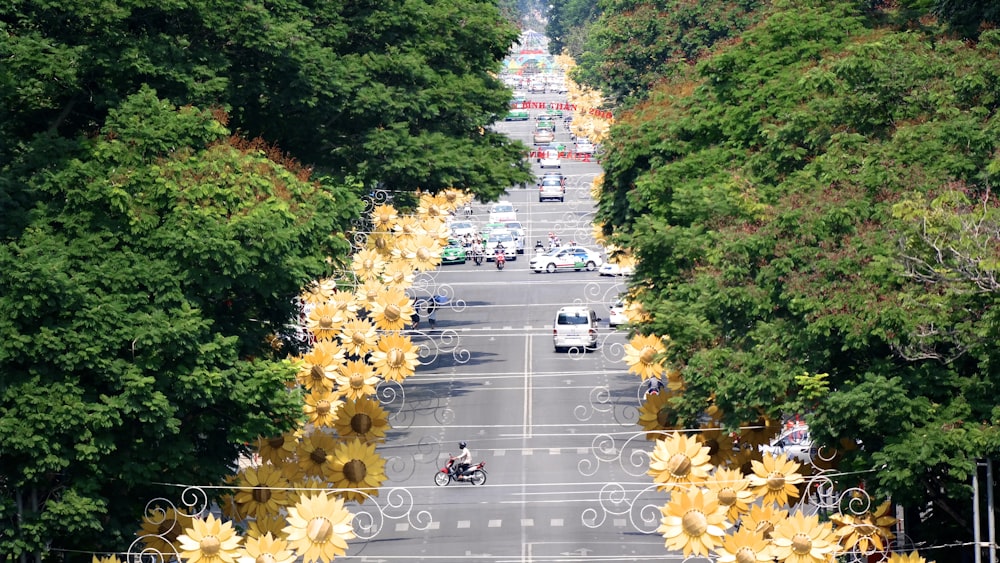 cars on road between trees during daytime