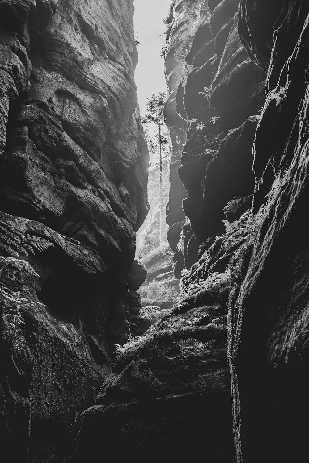 foto em tons de cinza da montanha rochosa