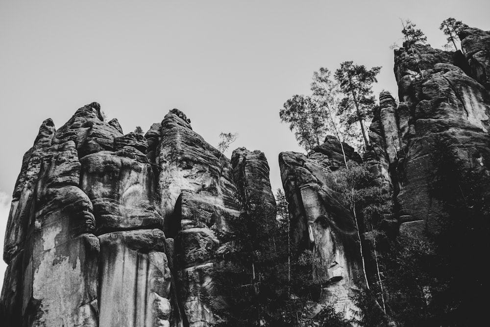 grayscale photo of trees and rock formation