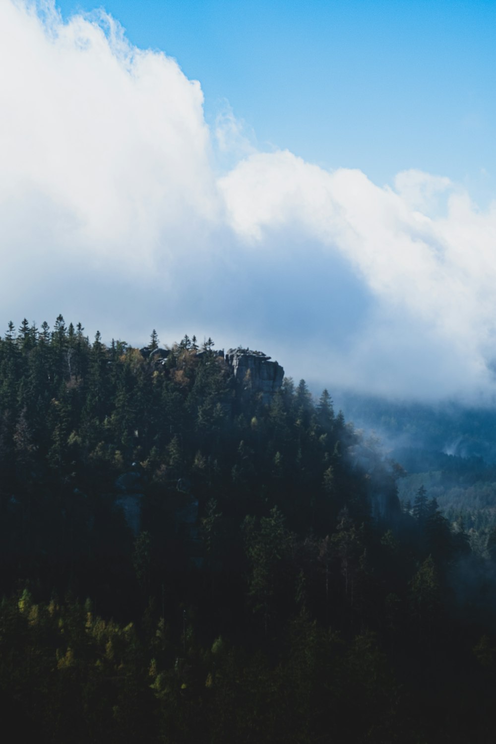 green trees on mountain under white clouds during daytime