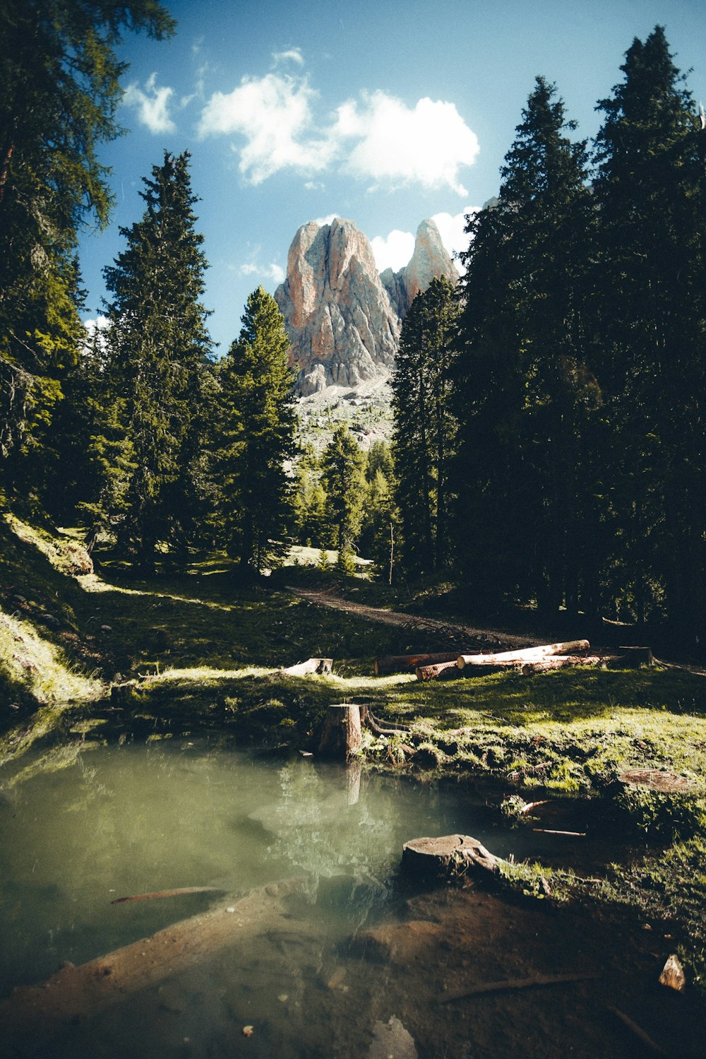 green pine trees near lake and mountain during daytime