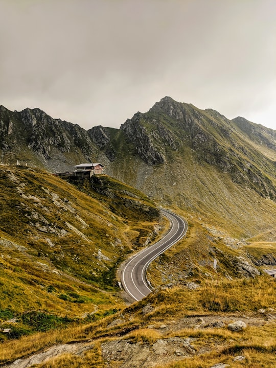 white car on road near green mountain during daytime in Transfăgărășan Romania