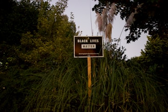 A sign with the words 'Black Lives Matter' is mounted on a wooden post surrounded by lush green foliage and tall grasses. The scene appears to be outdoors with natural light.