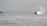 A group of tourists on a boat observing a whale breaching the ocean surface.