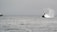 A large whale emerges from the ocean, splashing water into the air. In the distance, a boat with passengers is observing the scene from the left side. The ocean is calm with ripples, and the sky is overcast, creating a serene yet dramatic atmosphere.