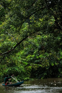 Tourists paddling a canoe through calm Amazon river waters surrounded by dense jungle