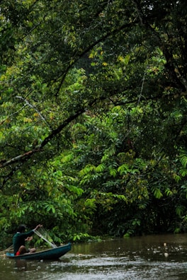 Travelers canoeing down a calm river surrounded by dense jungle foliage.