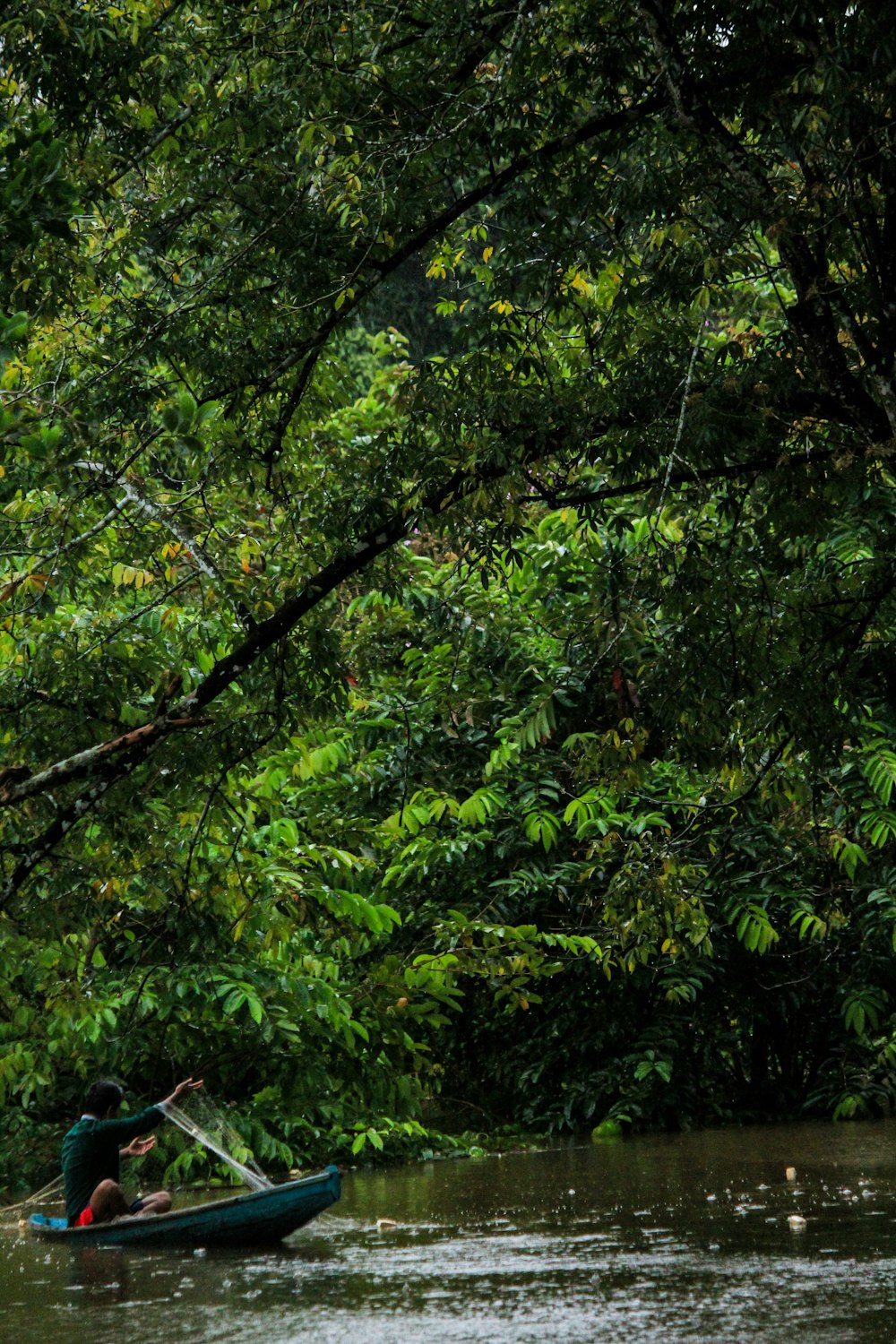 árvore da folha verde durante o dia