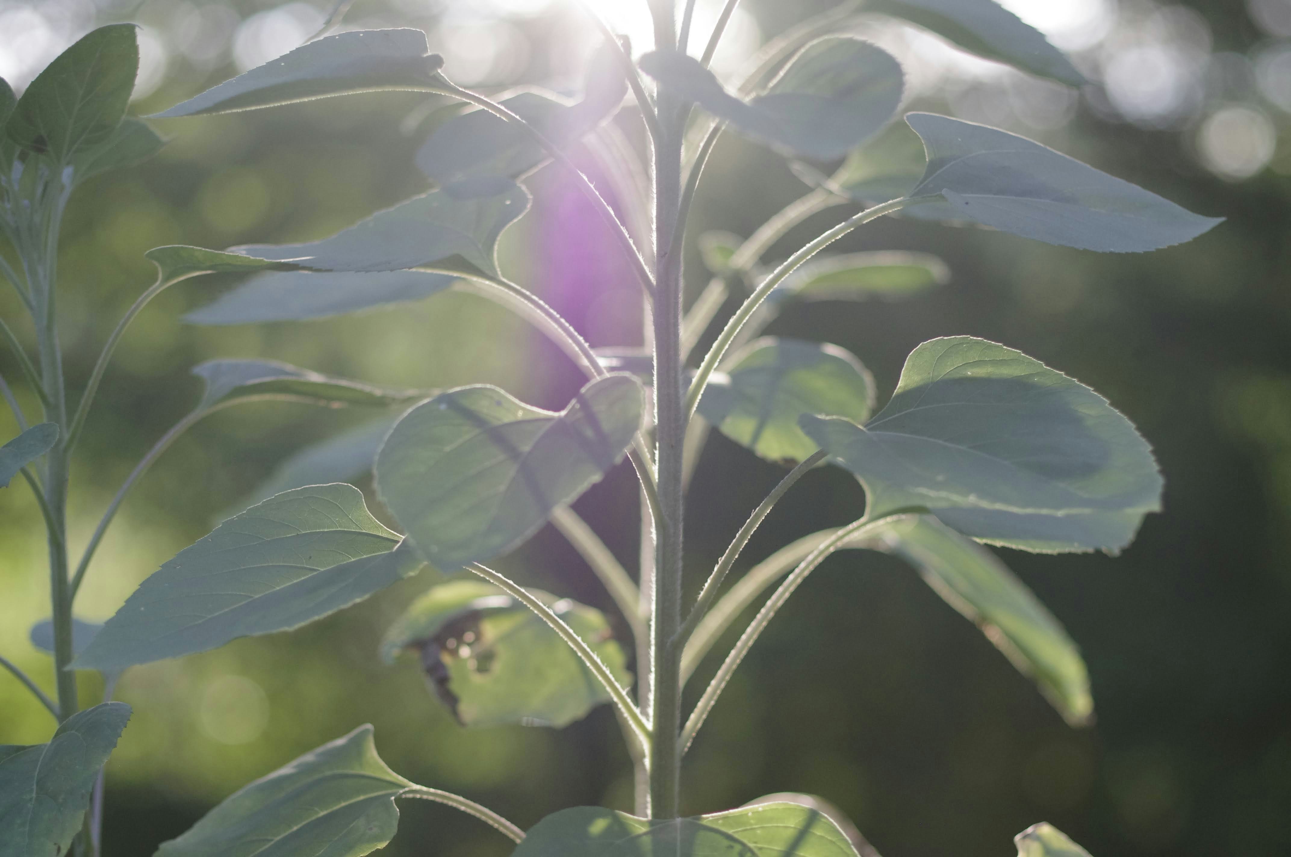 Photo by ayladorsettttt