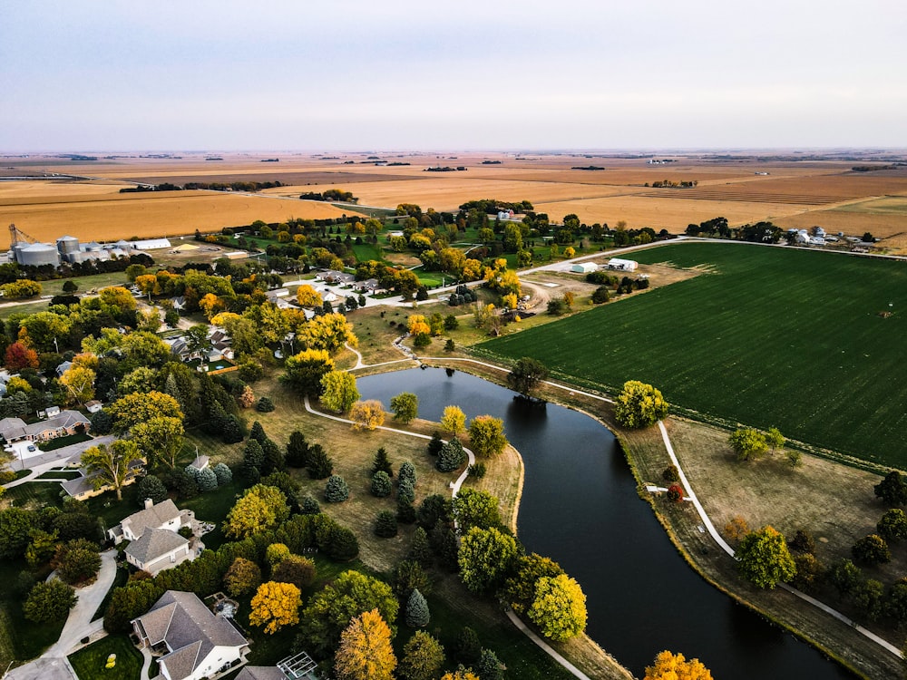 aerial view of green grass field and trees during daytime