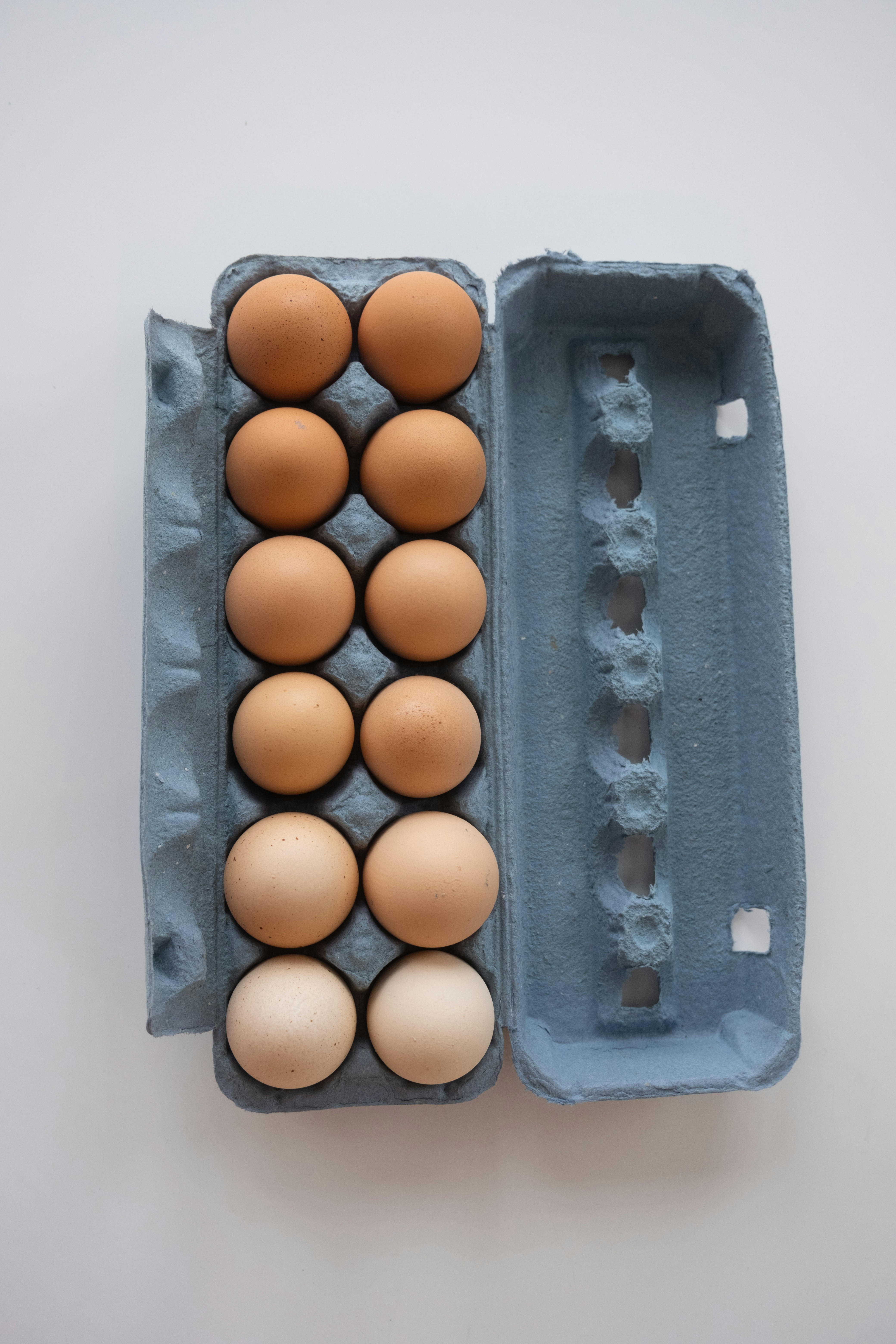 One dozen fresh brown eggs neatly arranged in a cardboard carton on a clean white surface, bright natural light