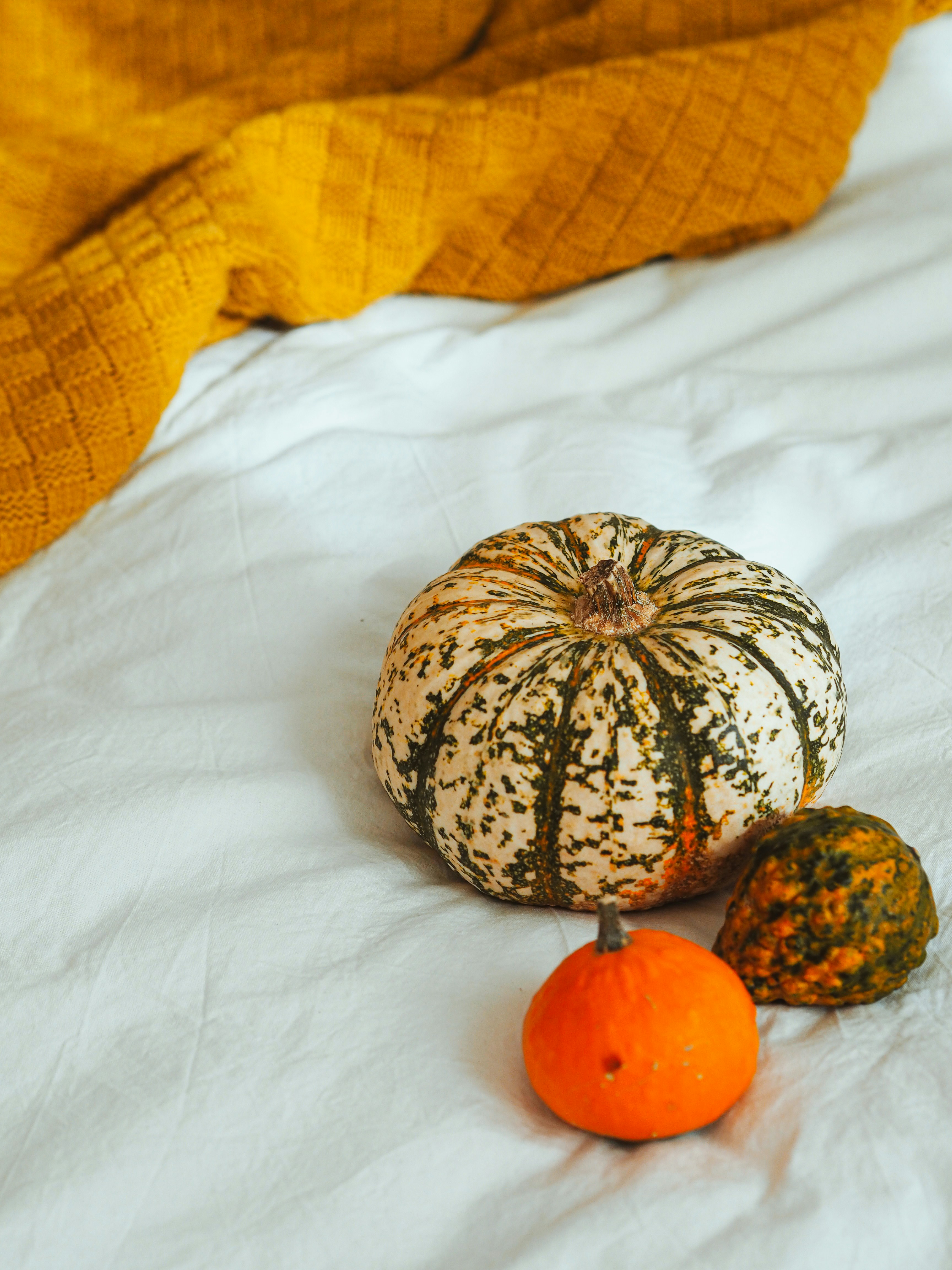 Photo by laurachouette