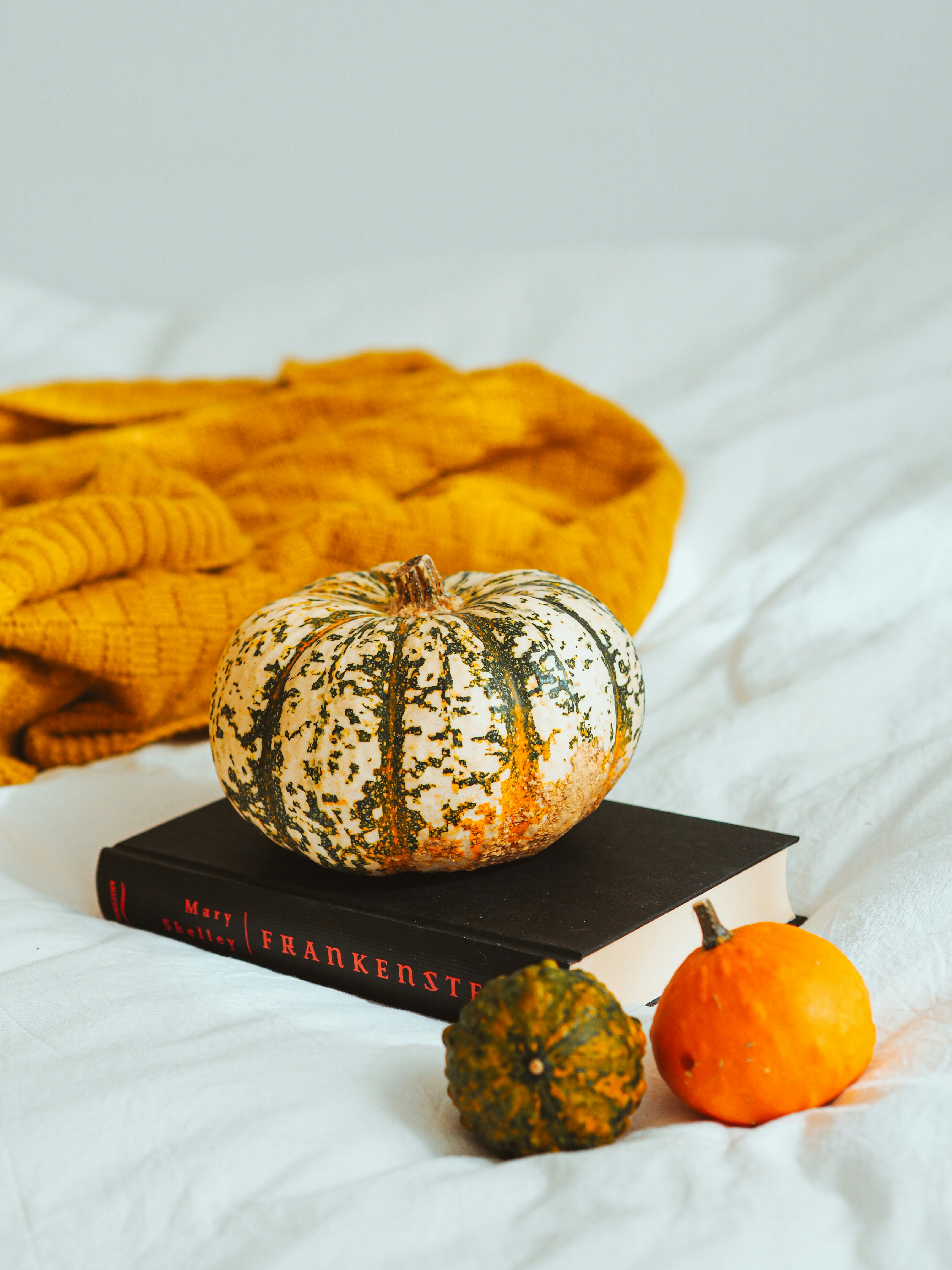 Photo by laurachouette