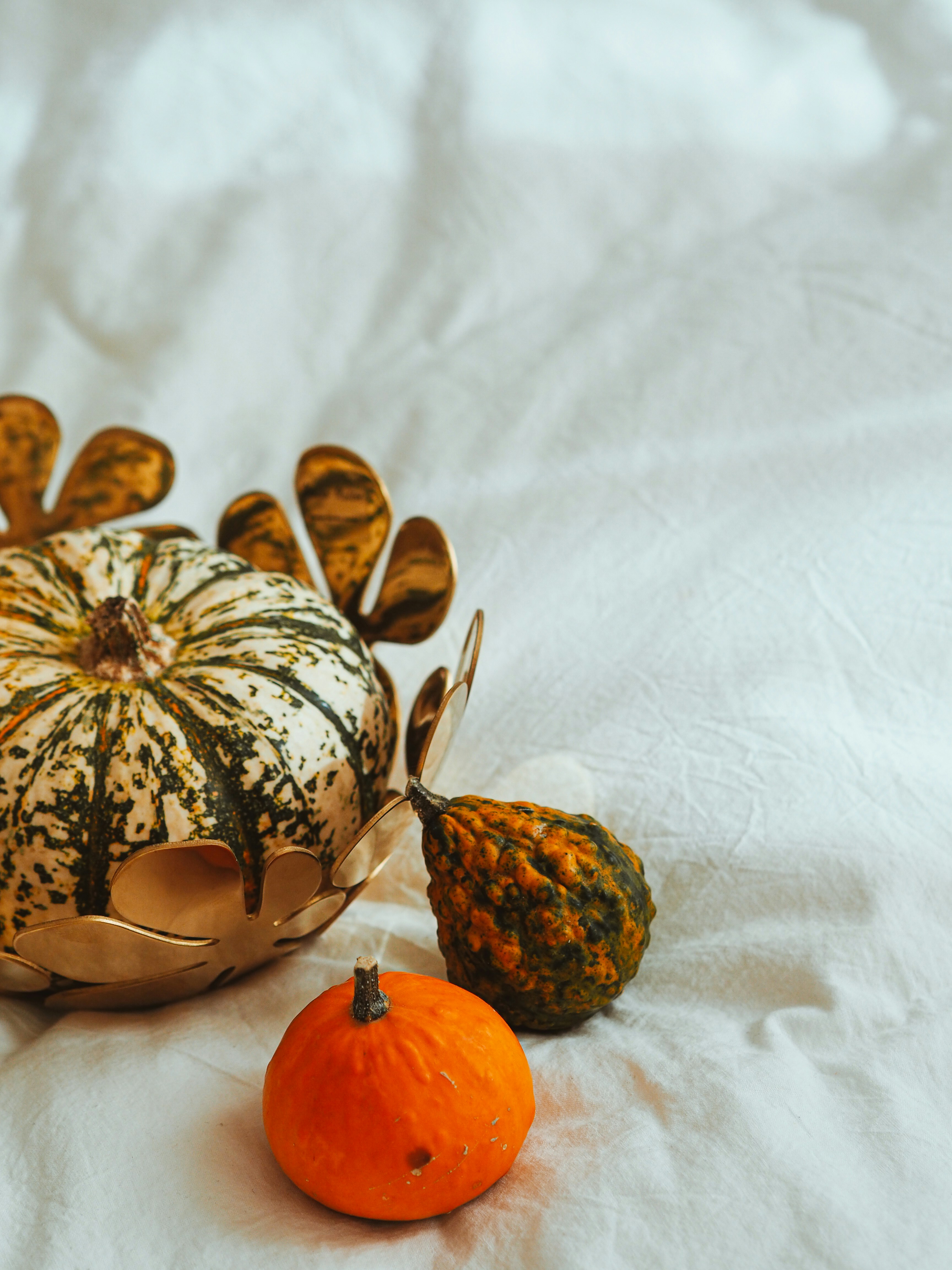 Photo by laurachouette