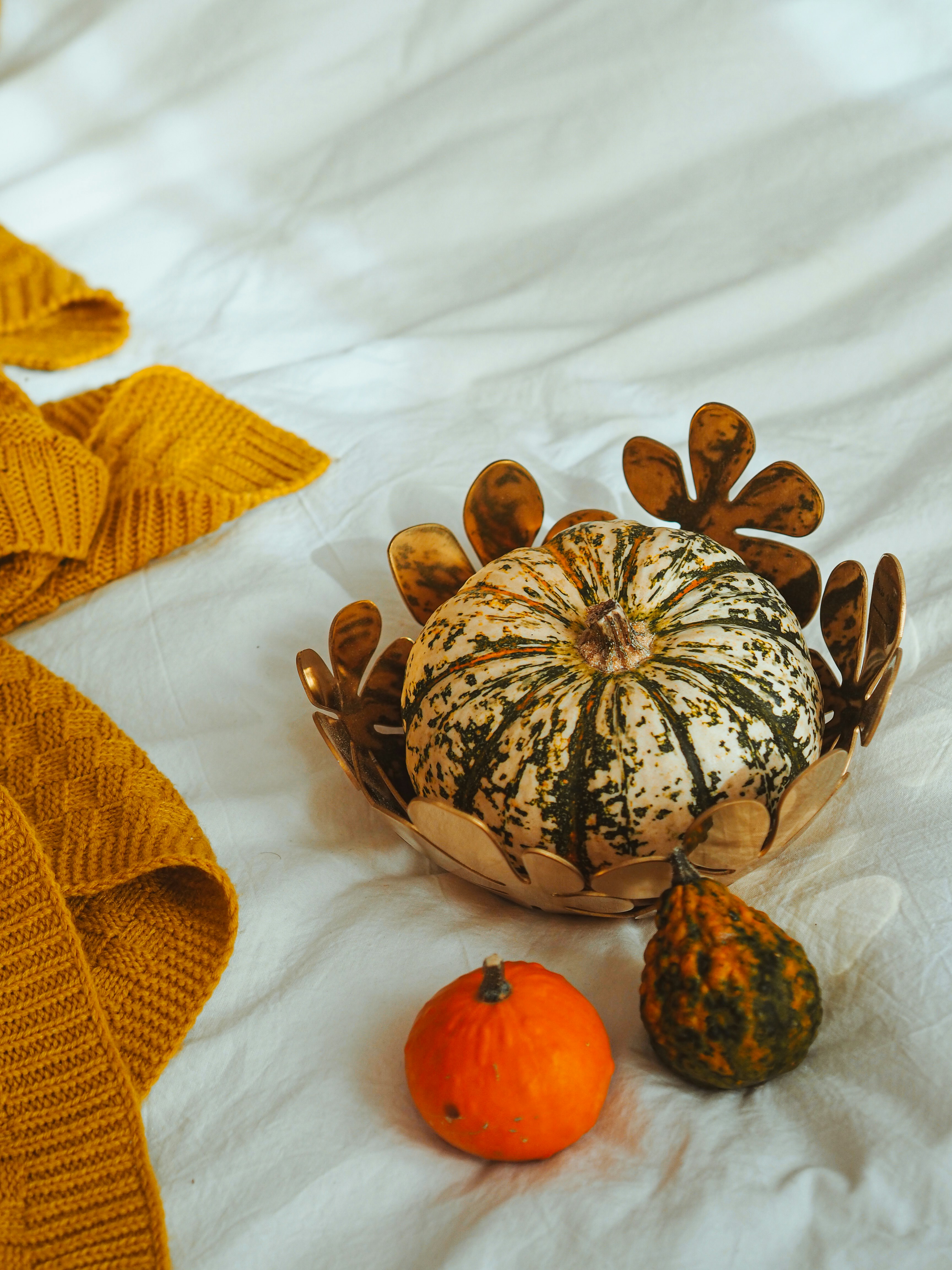 Photo by laurachouette