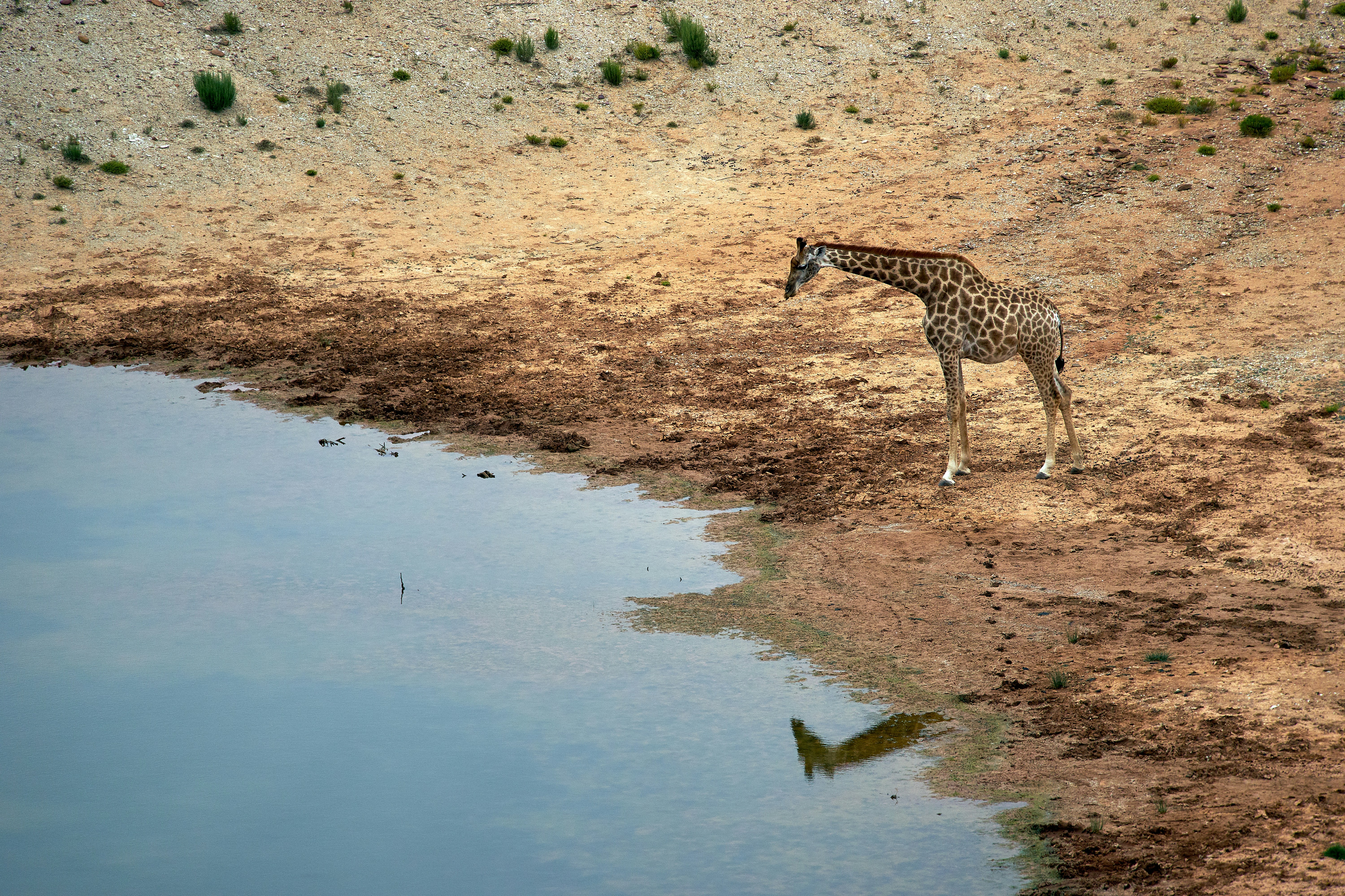 Photo by wolfgang_hasselmann