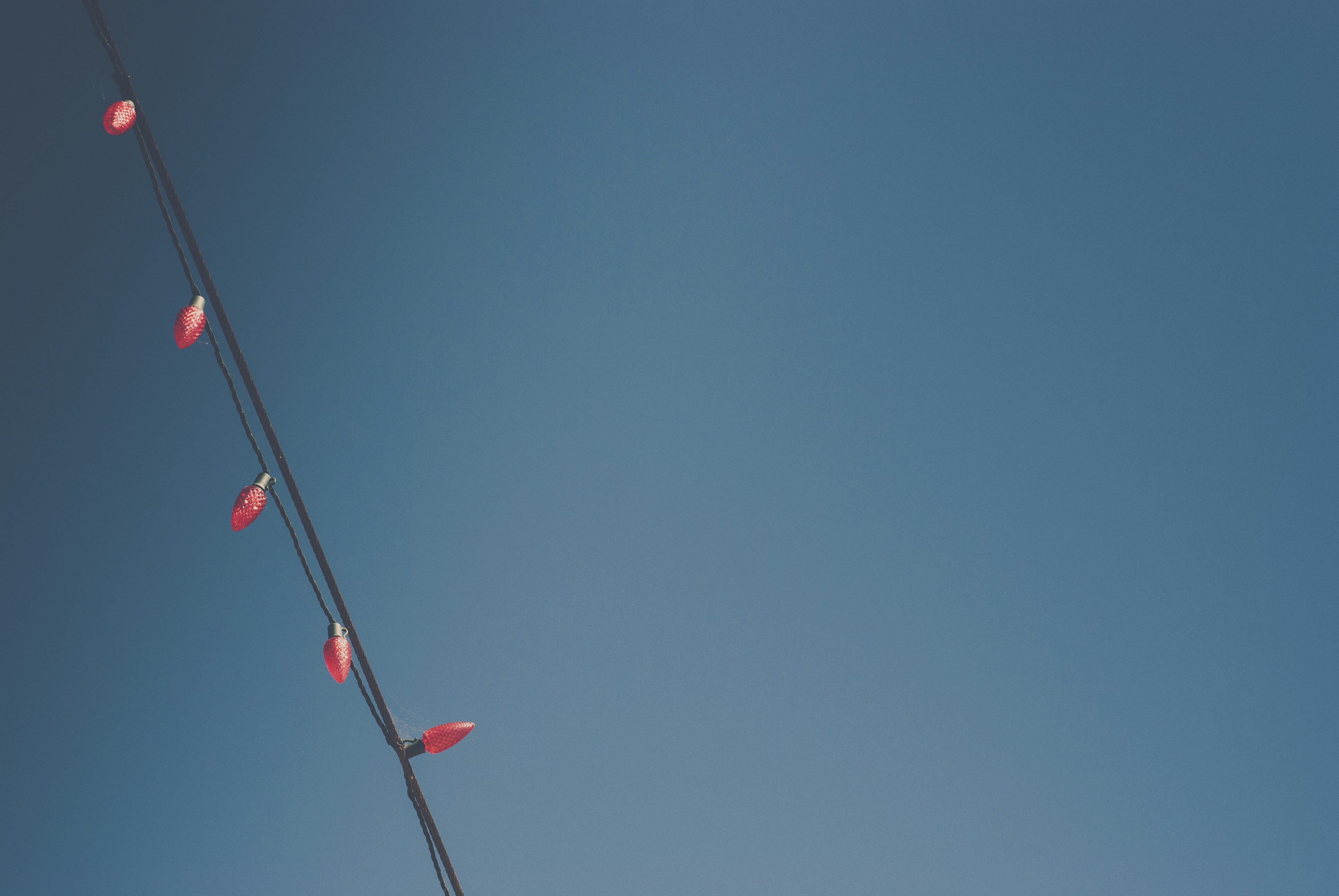 Photo by mary_schultz