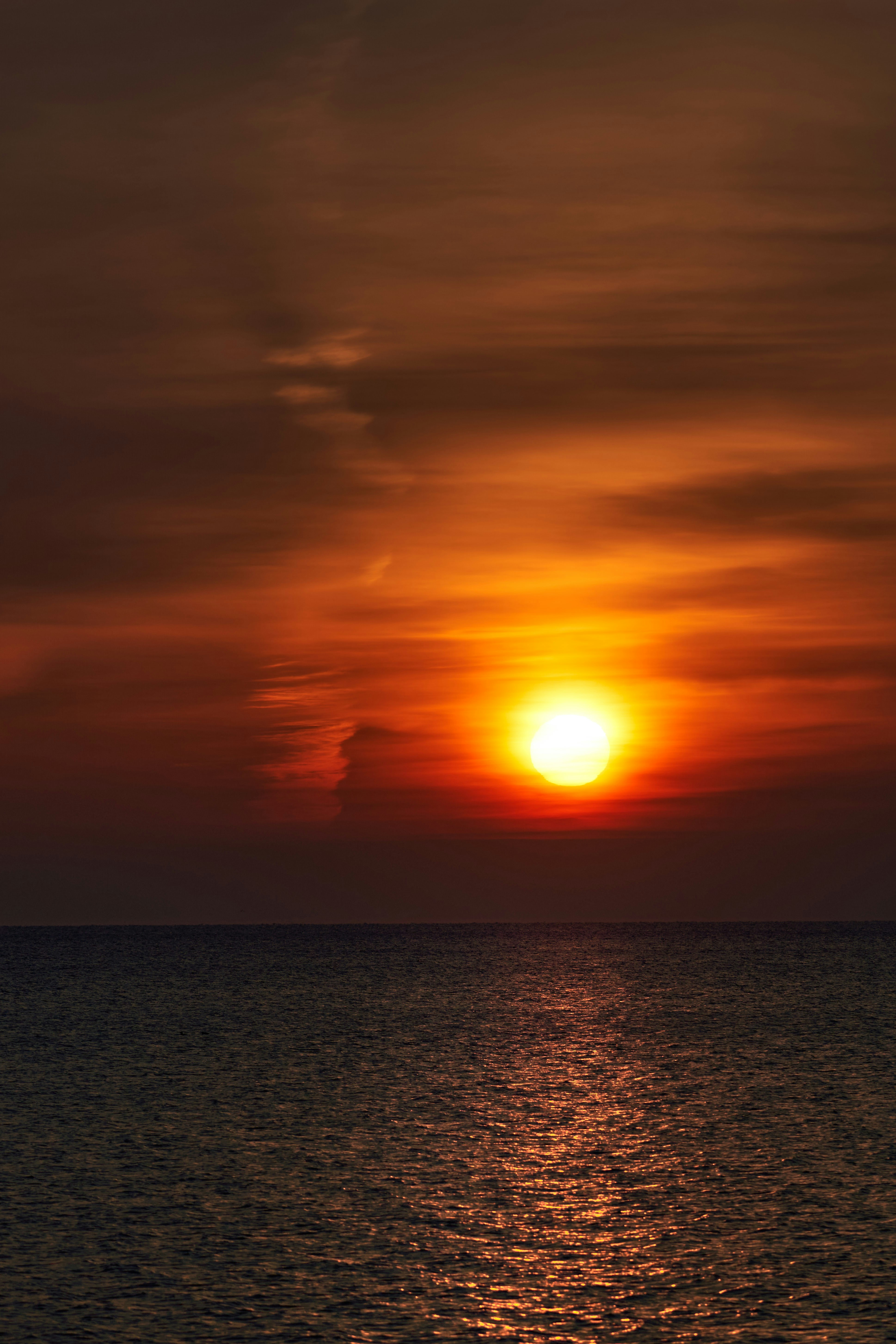 Photo by wolfgang_hasselmann