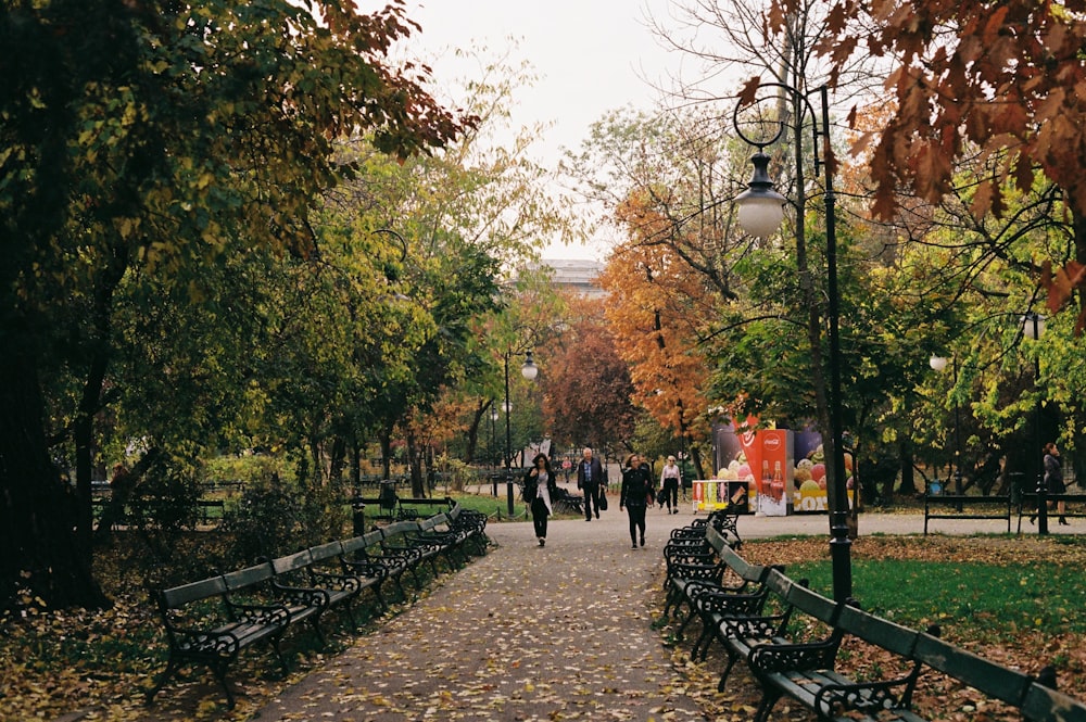 pessoas andando no parque durante o dia