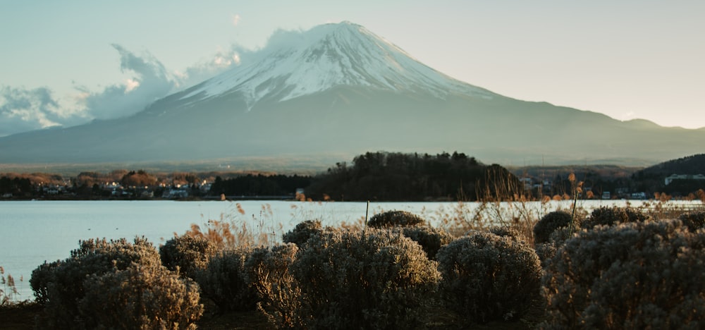 昼間の湖畔の雪山